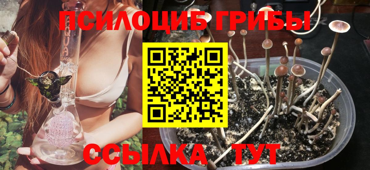 Псилоцибиновые грибы мухоморы Краснокаменск