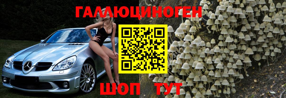 Галлюциногенные грибы Psilocybe  Вход с VPN  Краснокаменск 